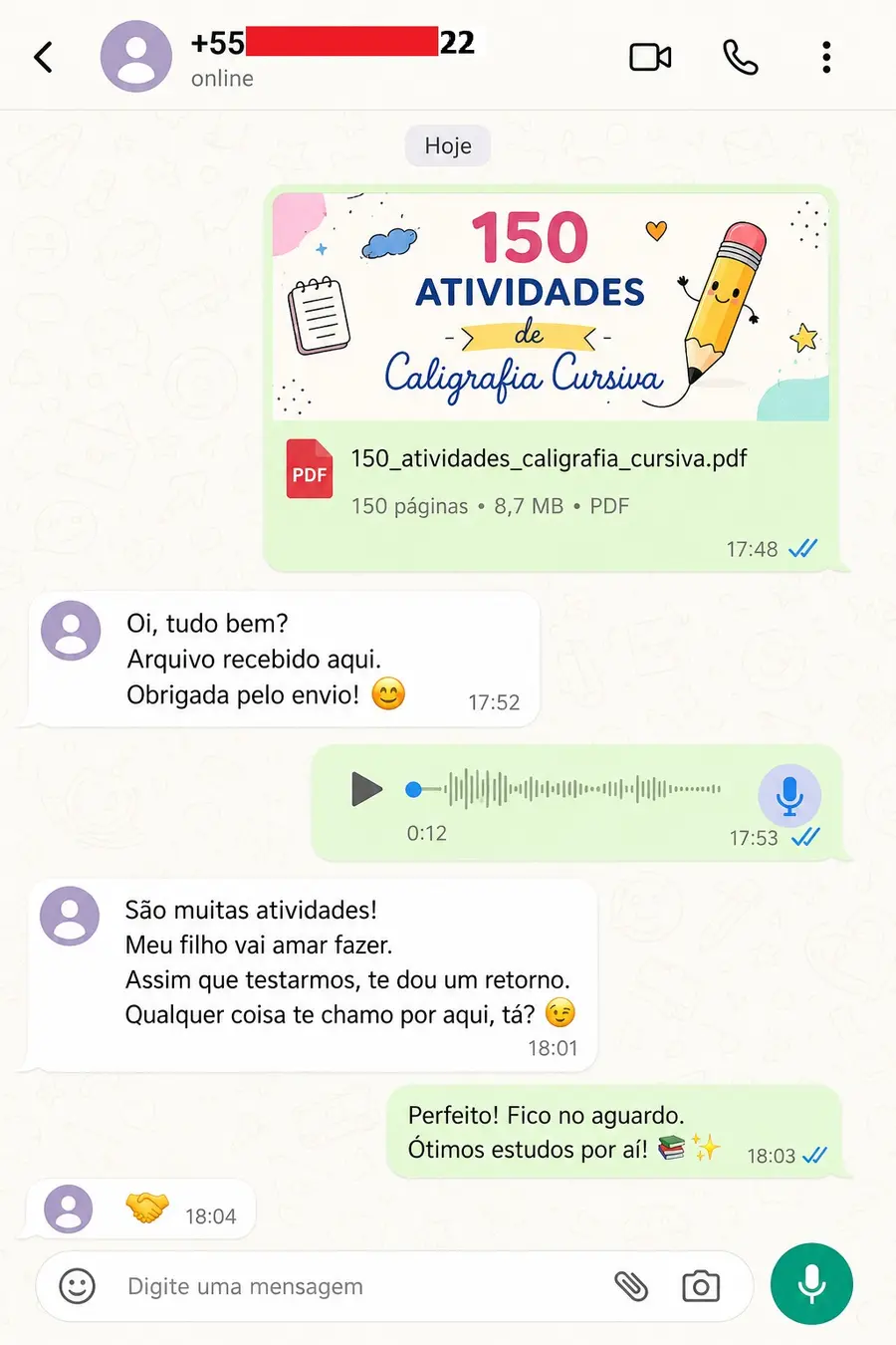Conversación real que destaca la cantidad de actividades y el interés del niño